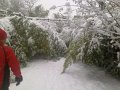 19122010837 - Copie